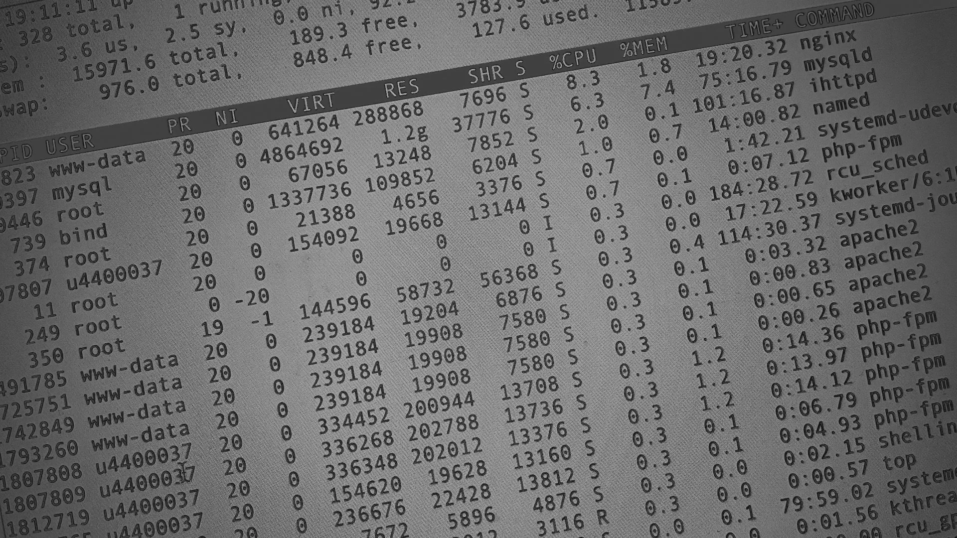 Настройка сервера в Спасске