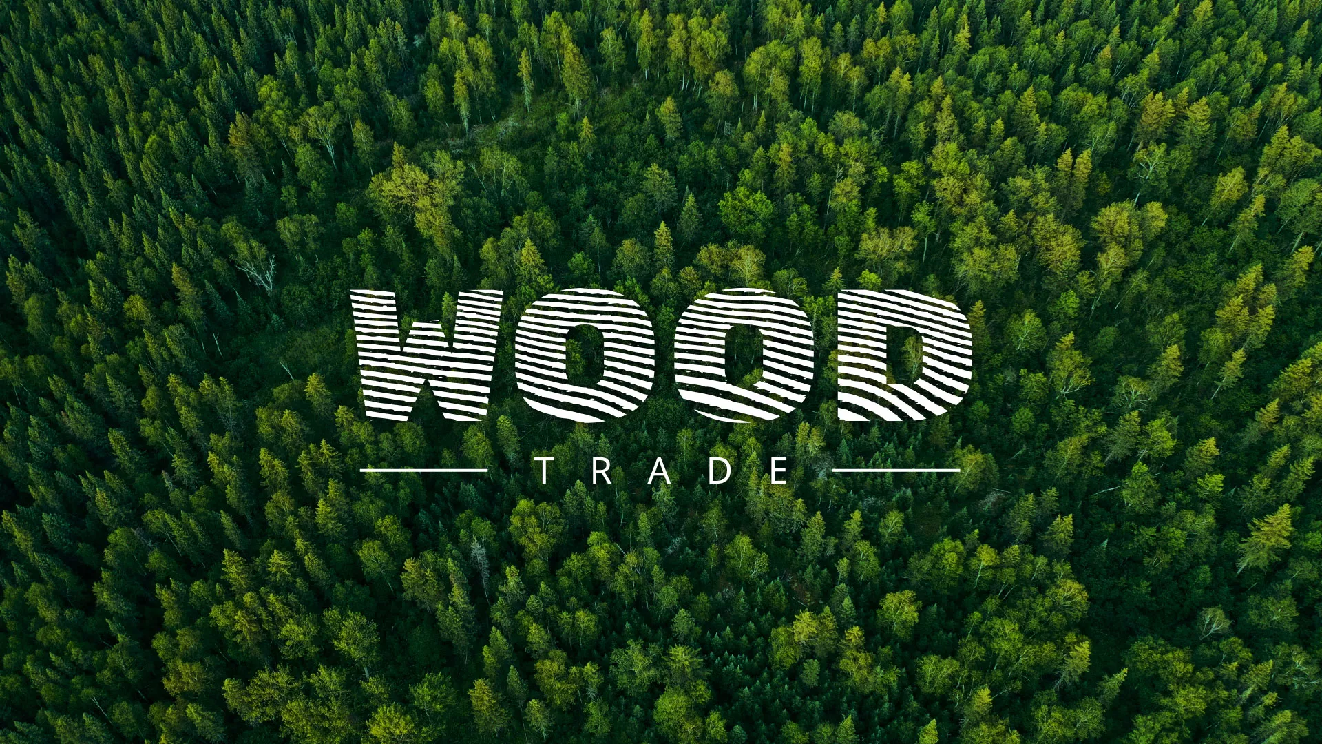 Разработка интернет-магазина компании «Wood Trade» в Спасске