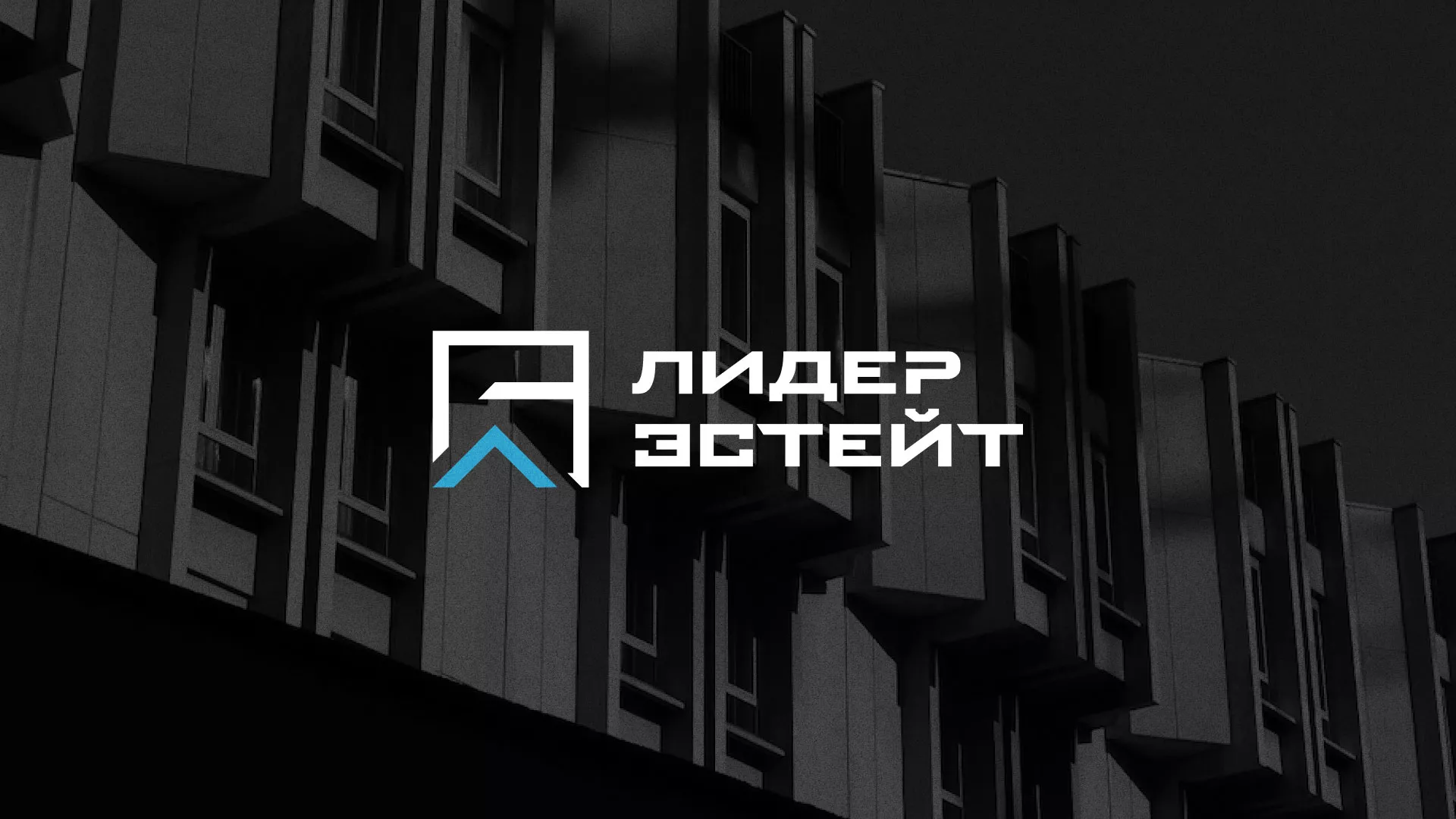 Разработка логотипа агентства недвижимости «Лидер Эстейт» в Спасске